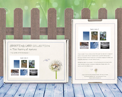 Spider Webs I - Greeting Card Collection by The Poetry of Nature
